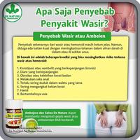 Gambar Obat Ambeien Atau Wasir Ambeyen Asli Alami Untuk Anak Pria Wanita Dan dari Bah Ahong undefined 5 Tokopedia