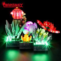 Gambar BriksMax LED Light Kit for 10309 Succulents Building Blocks Set dari Toys Class undefined 4 Tokopedia