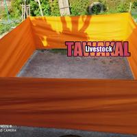 Gambar geber ayam/tempat aduan ayam/ring ayam/tempat ayam tarung 3x3 m/ 4x4 m - 2 X 2 M dari TAWAKAL LIVESTOCK undefined 1 Tokopedia