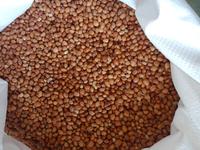 Gambar kacang tunggak premium birma (kacang lepet/tolo/begana) - 250gr dari violet_violettashop undefined 3 Tokopedia