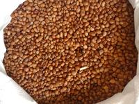 Gambar kacang tunggak premium birma (kacang lepet/tolo/begana) - 250gr dari violet_violettashop undefined 1 Tokopedia