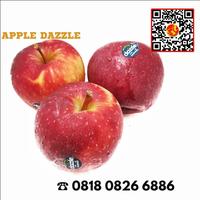 Gambar BUAH APEL DAZZLE NEW ZEALAND PREMIUM GARING MANIS FRESH - 1 KG dari Asan Buah Segar undefined 1 Tokopedia