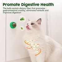 Gambar ROTATABLE Catnip Cat mint Ball Cemilan permen vitamin kucing dari Mega Pet Store undefined 4 Tokopedia