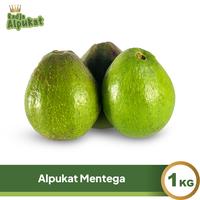Gambar Alpukat Mentega  isi 2,3,4 buah Perkilo dari Radja Alpukat undefined 1 Tokopedia