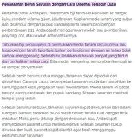 Gambar Bibit Bunga Kol / Benih Sayuran dari Kollektiv Market undefined 3 Tokopedia