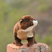 Gambar Bigsale Lovely Lutra Toy Real Life Plush Wild Otter Dolls Present So dari Gudang Suryaa undefined 3 Tokopedia