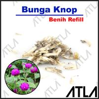 Gambar Benih Bunga Knop Biji Kembang Kancing Bibit Pohon Tanaman Hias Refill dari Atla Agrikultur undefined 1 Tokopedia