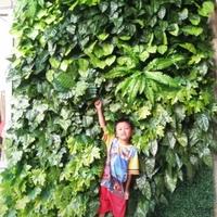 Gambar Pusat Dekorasi Artificial Plant - Taman Vertical Garden-Taman Plastik dari fauzan_floraindah undefined 2 Tokopedia