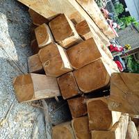 Gambar kayu jati dari Rayap jati jepara undefined 1 Tokopedia