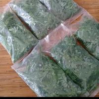 Gambar Daun Saga Segar | Daun Sogok Tunteng | Obat Batuk Sariawan Ampuh dari Pesona Bibit Unggul undefined 2 Tokopedia