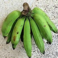Gambar pisang raja nangka/pisang nangka mentah dari CVADIKSHOPP undefined 3 Tokopedia