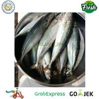 Gambar Ikan Kembung Layang Segar 1 Kg - 500 gram dari Hasil laut pasar serpong undefined 5 Tokopedia