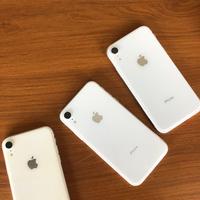 Gambar iphone xr 64gb inter dari Harus Viral Terus undefined 1 Tokopedia