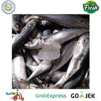 Gambar Ikan Kembung Layang Segar 1 Kg - 500 gram dari Hasil laut pasar serpong undefined 4 Tokopedia
