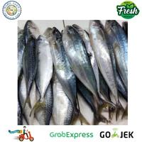 Gambar Ikan Kembung Layang Segar 1 Kg - 500 gram dari Hasil laut pasar serpong undefined 2 Tokopedia