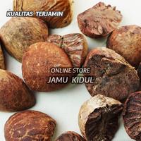 Gambar Buah Pinang 50 gr atau Jambe Kering Asli Liar dari Jamu Kidul undefined 3 Tokopedia