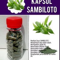 Gambar Daun Sambiloto 50 kapsul diabetes darah tinggi kemasan Botol dari AGS JAYA007 undefined 1 Tokopedia