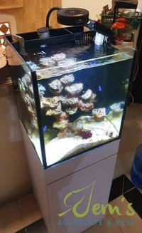 Gambar Akuarium Laut / Reef Tank Full Set 40x40x45cm dari Jem's Aquascape and Reef undefined 2 Tokopedia