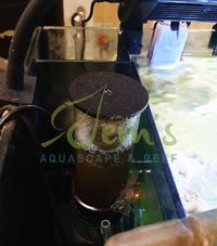 Gambar Akuarium Laut / Reef Tank Full Set 40x40x45cm dari Jem's Aquascape and Reef undefined 4 Tokopedia