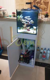 Gambar Akuarium Laut / Reef Tank Full Set 40x40x45cm dari Jem's Aquascape and Reef undefined 3 Tokopedia