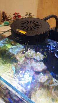 Gambar Akuarium Laut / Reef Tank Full Set 40x40x45cm dari Jem's Aquascape and Reef undefined 5 Tokopedia
