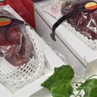 Gambar buah anggur Ruby roman jepang  / anggur jepang dari fresh sedoyo undefined 4 Tokopedia