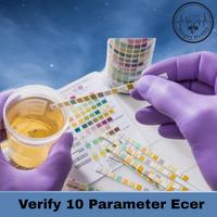 Gambar Ecer Verify 10 Parameter Eceran Strip Test Urine 10 Parameter Ecer - 10 Pcs dari Bengky Medika undefined 4 Tokopedia