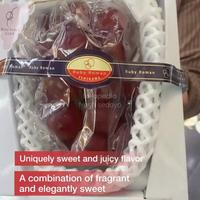 Gambar buah anggur Ruby roman jepang  / anggur jepang dari fresh sedoyo undefined 2 Tokopedia