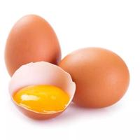 Gambar telur ayam omega isi 10 telur ayam negeri - omega dari DKMART EXPRESS undefined 4 Tokopedia