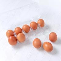 Gambar telur ayam omega isi 10 telur ayam negeri - omega dari DKMART EXPRESS undefined 2 Tokopedia