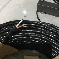 Gambar ECERAN 5M!!! CANARE 2S9F - kabel speaker 2x2.5 dari MAESTROMUSIK undefined 1 Tokopedia