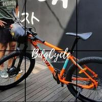 Gambar Ebike Conversion Kit. Ubah sepeda lipat/mtb/bmx/onthel menjadi Ebike dari BdgCycle undefined 2 Tokopedia