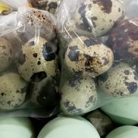 Gambar Telor Puyuh Mateng 10 Biji Siap Makan - Telor Putuh dengan Warna Mateng Per 10 Butir dari Dapur dona undefined 1 Tokopedia