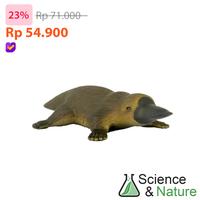 Gambar Science and Nature 75483 - Small Platypus - Animal Figure dari Juragan Dino undefined 1 Tokopedia
