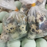 Gambar Telor Puyuh Mateng 10 Biji Siap Makan - Telor Putuh dengan Warna Mateng Per 10 Butir dari Dapur dona undefined 3 Tokopedia