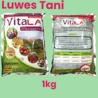 Gambar Vitala 1 Kg Pupuk kalsium Boron Plus Zinc mesh 3500 calsium dari Luwes Tani Kendal undefined 4 Tokopedia