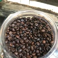 Gambar Robusta Toraja - 500gr, coarse dari kios Hasanah beringharjo undefined 2 Tokopedia