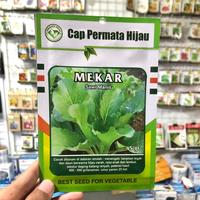 Gambar Bibit Sawi Manis MEKAR 5 gr Biji Benih Cap Permata Hijau Sayur Sayuran dari Bibit Bunga undefined 1 Tokopedia