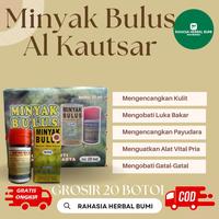 Gambar GROSIR Minyak Bulus Murni Alkautsar - Dijamin Asli Untuk Kulit Cantik dari RAHASIA HERBAL BUMI undefined 1 Tokopedia