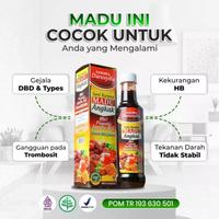 Gambar SARI KURMA MADU ANGKAK DARUSYIFA OBAT DBD TYPUS MENAIKKAN TROMBOSIT dari Bali Berkah Shop undefined 1 Tokopedia