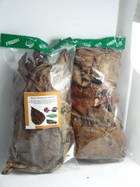 Gambar Ketapang Laut olahan untuk cepat Mutasi ikan Cupang Guppy dll dari Demi Pellets undefined 2 Tokopedia