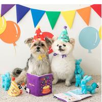 Gambar Korea bite me birthday card hidden food sniff and find treats dari petincshop undefined 1 Tokopedia