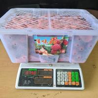 Gambar BUAH LECI MERAH FRESH PER 1 KG dari toko buah segar albarokah undefined 3 Tokopedia