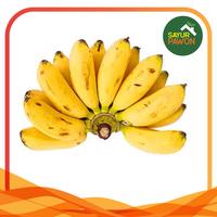 Gambar PISANG MAS per sisir - Sayur Pawon Bantul dari Sayur Pawon Jogja undefined 1 Tokopedia