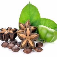 Gambar Suka - Flavored Sacha Inchi / Kacang Sacha Inchi Berbumbu dari Hydrofarm Tangerang undefined 4 Tokopedia