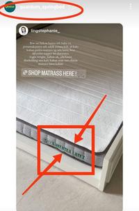 Gambar Quantum Topper Greentea Latex DNA 12 CM 160X200 CM TEBAL 12 CM Mattres dari Furni Store Home Living undefined 2 Tokopedia