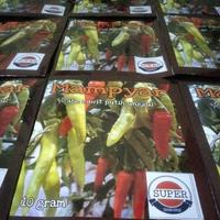 Gambar Benih cabe Rawit Putih Unggul MAMPYAR SUPER TAVI (Tahan Virus) dari raxxy undefined 1 Tokopedia