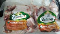 Gambar Ayam Kampung Potong Natural Poultry dari Sayurkita2017 undefined 2 Tokopedia