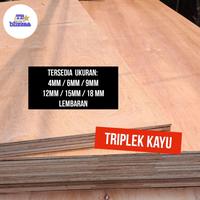 Gambar Triplek / Triplex 4 mm per lembar 122cm x 244cm dari Blizzaa SMJ Pusat undefined 1 Tokopedia