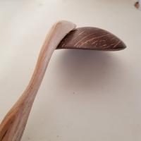 Gambar Irus Batok Kelapa/Sendok Sayur Batok Kelapa Gagang Kayu - Tanggung dari Albintang Jaya undefined 3 Tokopedia